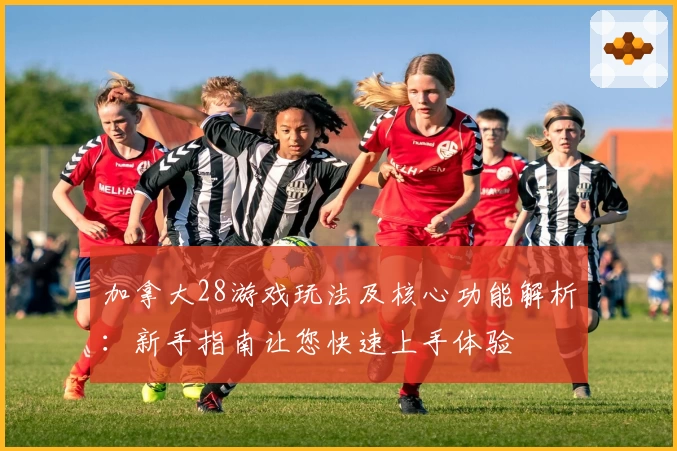 加拿大28游戏玩法及核心功能解析：新手指南让您快速上手体验
