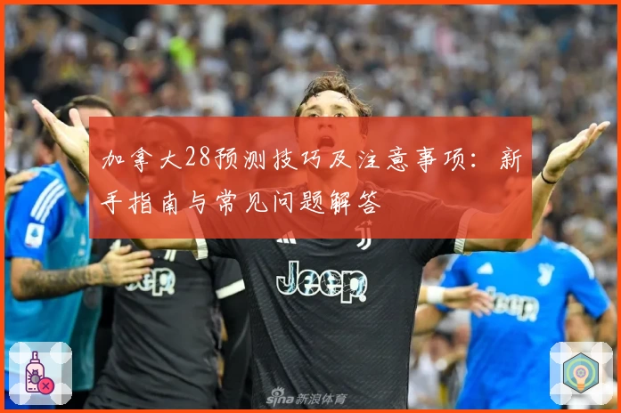 加拿大28预测技巧及注意事项：新手指南与常见问题解答