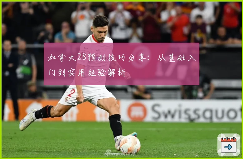加拿大28预测技巧分享：从基础入门到实用经验解析