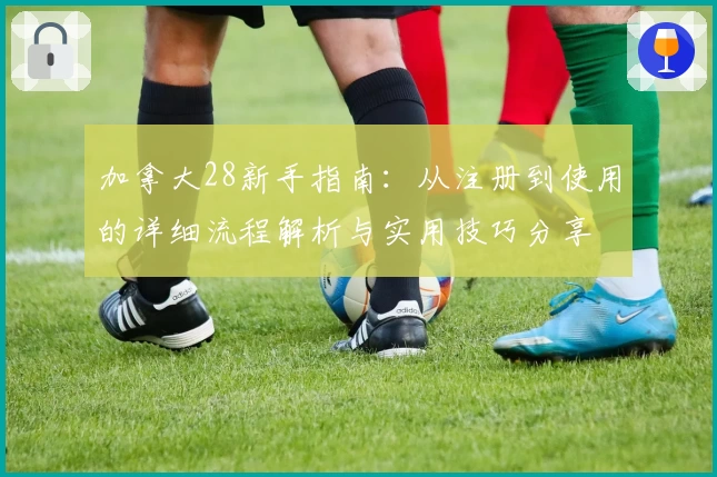 加拿大28新手指南：从注册到使用的详细流程解析与实用技巧分享