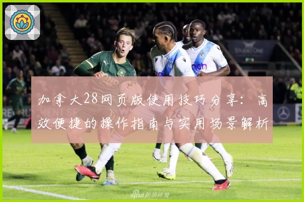 加拿大28网页版使用技巧分享：高效便捷的操作指南与实用场景解析