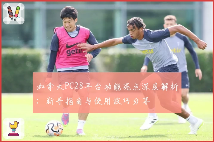 加拿大PC28平台功能亮点深度解析：新手指南与使用技巧分享