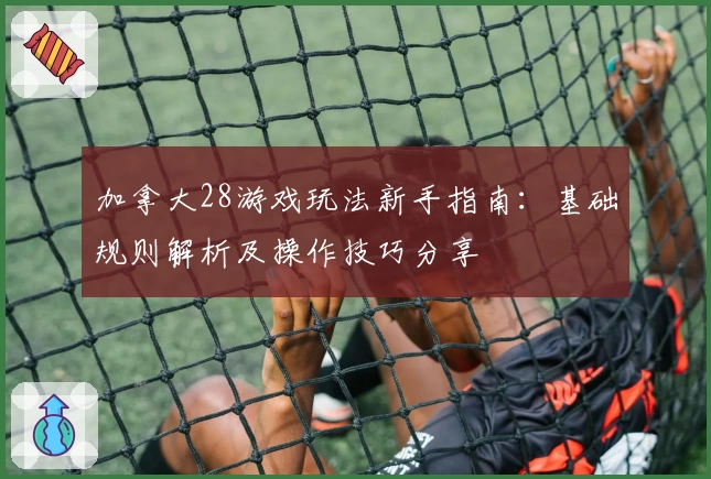 加拿大28游戏玩法新手指南：基础规则解析及操作技巧分享