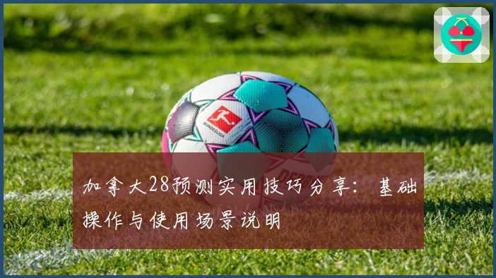 加拿大28预测实用技巧分享：基础操作与使用场景说明