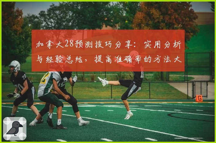加拿大28预测技巧分享：实用分析与经验总结，提高准确率的方法大全