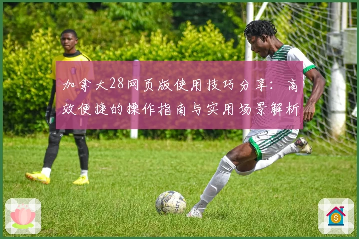 加拿大28网页版使用技巧分享：高效便捷的操作指南与实用场景解析